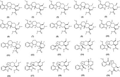 Kratom Alkaloids: Interactions With Enzymes, Receptors, and Cellular Barriers